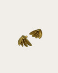 Bold earrings - Goud