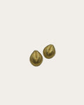 Shell earrings - Goud